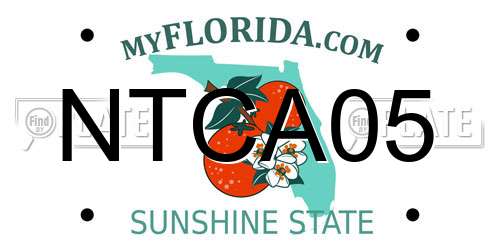 NTCA05 Florida License Plate