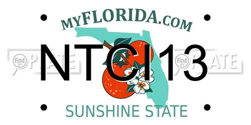 NTCI13 Florida License Plate
