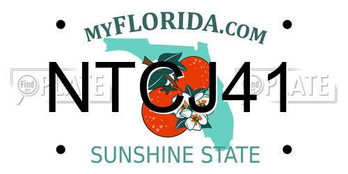 NTCJ41 Florida License Plate