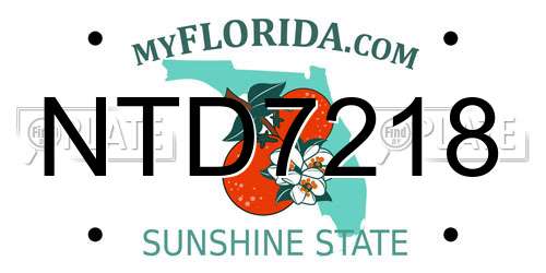 NTD7218 Florida License Plate