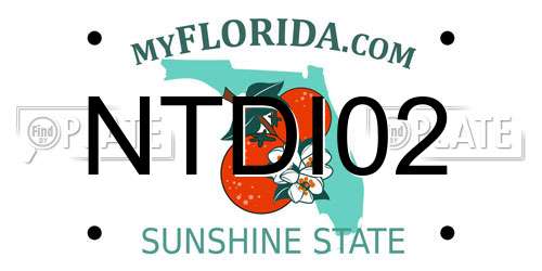 NTDI02 Florida License Plate
