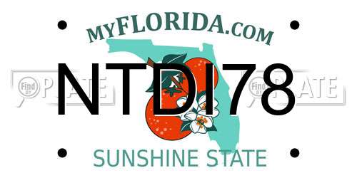 NTDI78 Florida License Plate