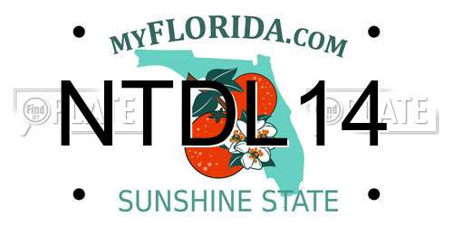 NTDL14 Florida License Plate
