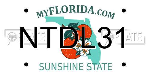 NTDL31 Florida License Plate