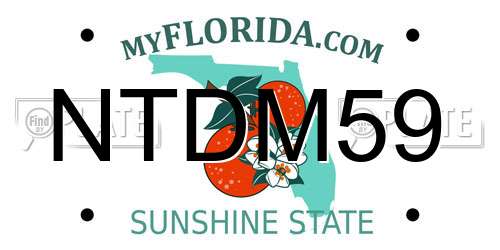 NTDM59 Florida License Plate