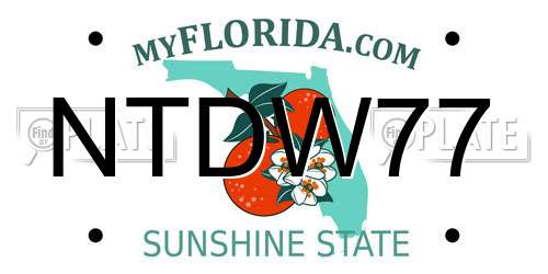 NTDW77 Florida License Plate