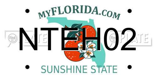NTEH02 Florida License Plate