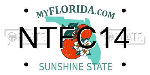 NTFC14 Florida License Plate