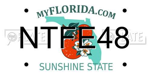 NTFE48 Florida License Plate