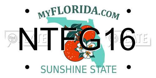NTFG16 Florida License Plate