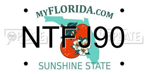 NTFJ90 Florida License Plate