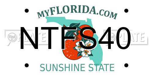 NTFS40 Florida License Plate