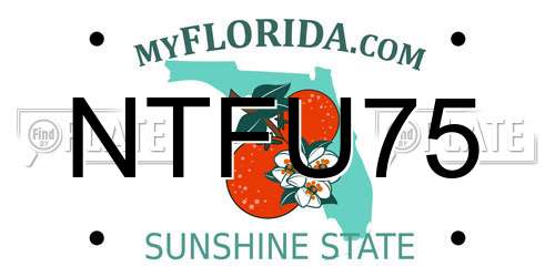 NTFU75 Florida License Plate