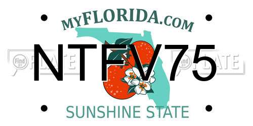NTFV75 Florida License Plate