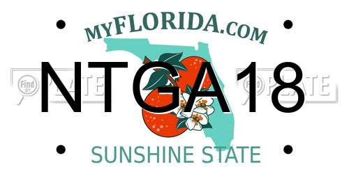 NTGA18 Florida License Plate