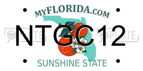 NTGC12 Florida License Plate