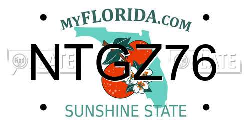 NTGZ76 Florida License Plate