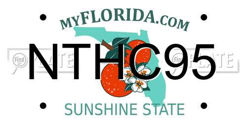 NTHC95 Florida License Plate