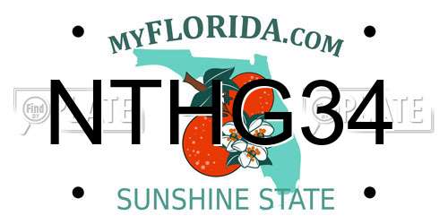 NTHG34 Florida License Plate