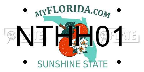 NTHH01 Florida License Plate