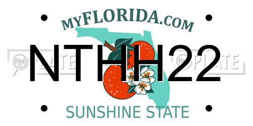 NTHH22 Florida License Plate