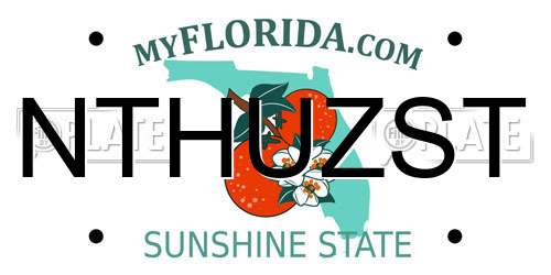 NTHUZST Florida License Plate
