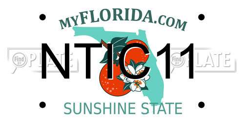 NTIC11 Florida License Plate