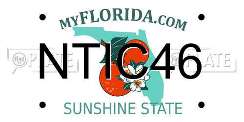 NTIC46 Florida License Plate