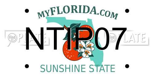 NTIP07 Florida License Plate