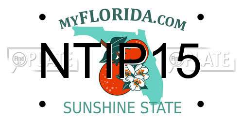 NTIP15 Florida License Plate