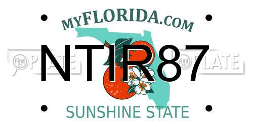NTIR87 Florida License Plate