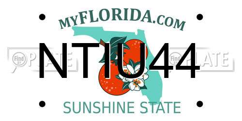 NTIU44 Florida License Plate