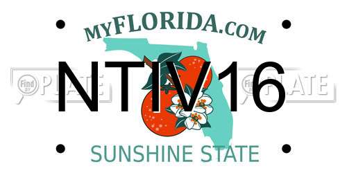 NTIV16 Florida License Plate