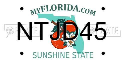 NTJD45 Florida License Plate