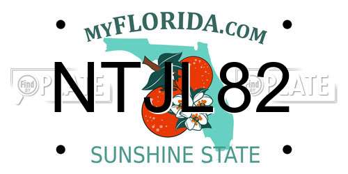 NTJL82 Florida License Plate