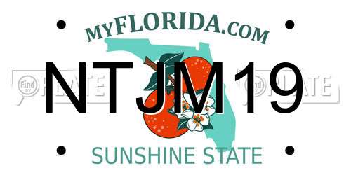 NTJM19 Florida License Plate