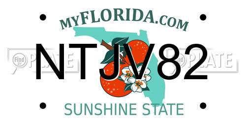 NTJV82 Florida License Plate