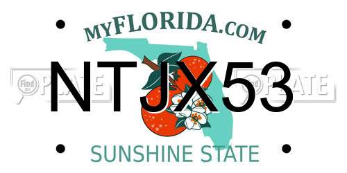 NTJX53 Florida License Plate