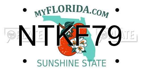 NTKF79 Florida License Plate