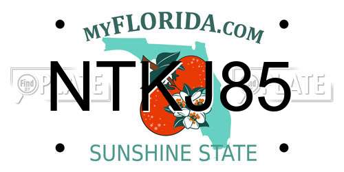 NTKJ85 Florida License Plate