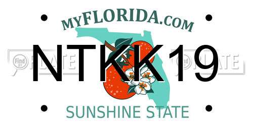 NTKK19 Florida License Plate