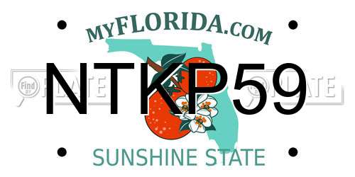NTKP59 Florida License Plate