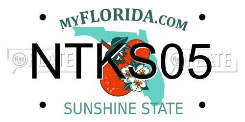 NTKS05 Florida License Plate