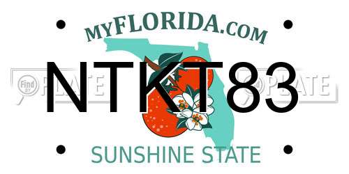 NTKT83 Florida License Plate