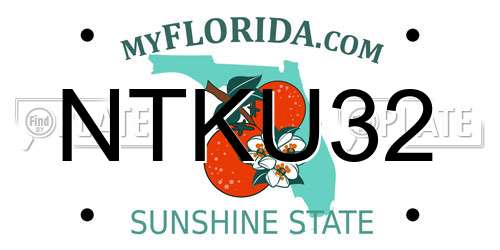 NTKU32 Florida License Plate