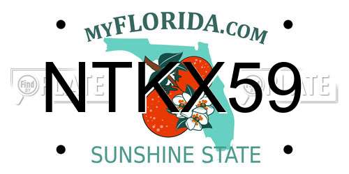 NTKX59 Florida License Plate