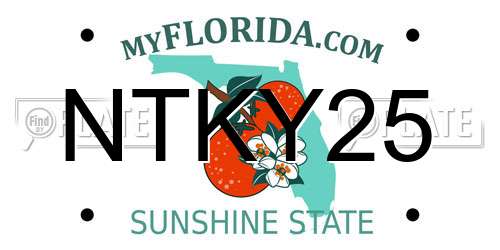 NTKY25 Florida License Plate