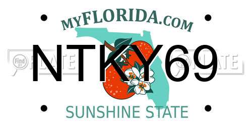NTKY69 Florida License Plate