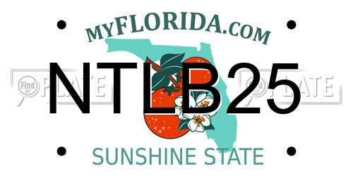 NTLB25 Florida License Plate