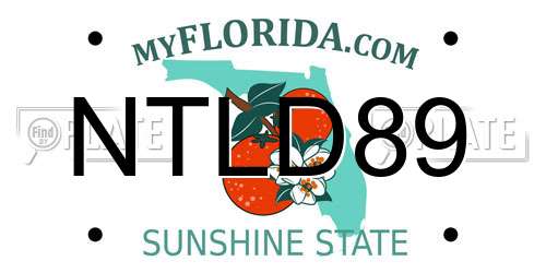 NTLD89 Florida License Plate